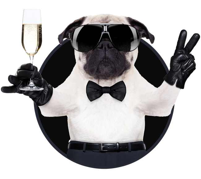 Pincér bulldog